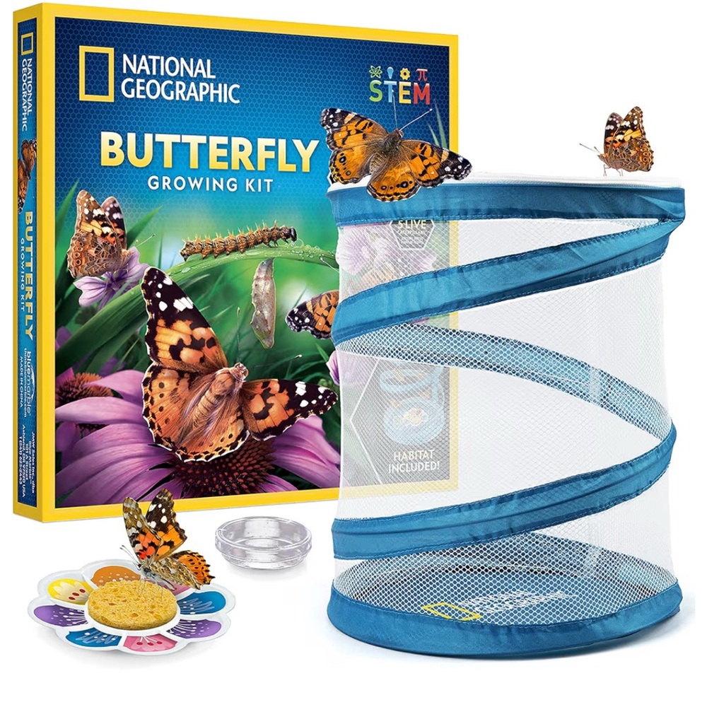 National Geographic Blue and White Butterfly Habitat Kit